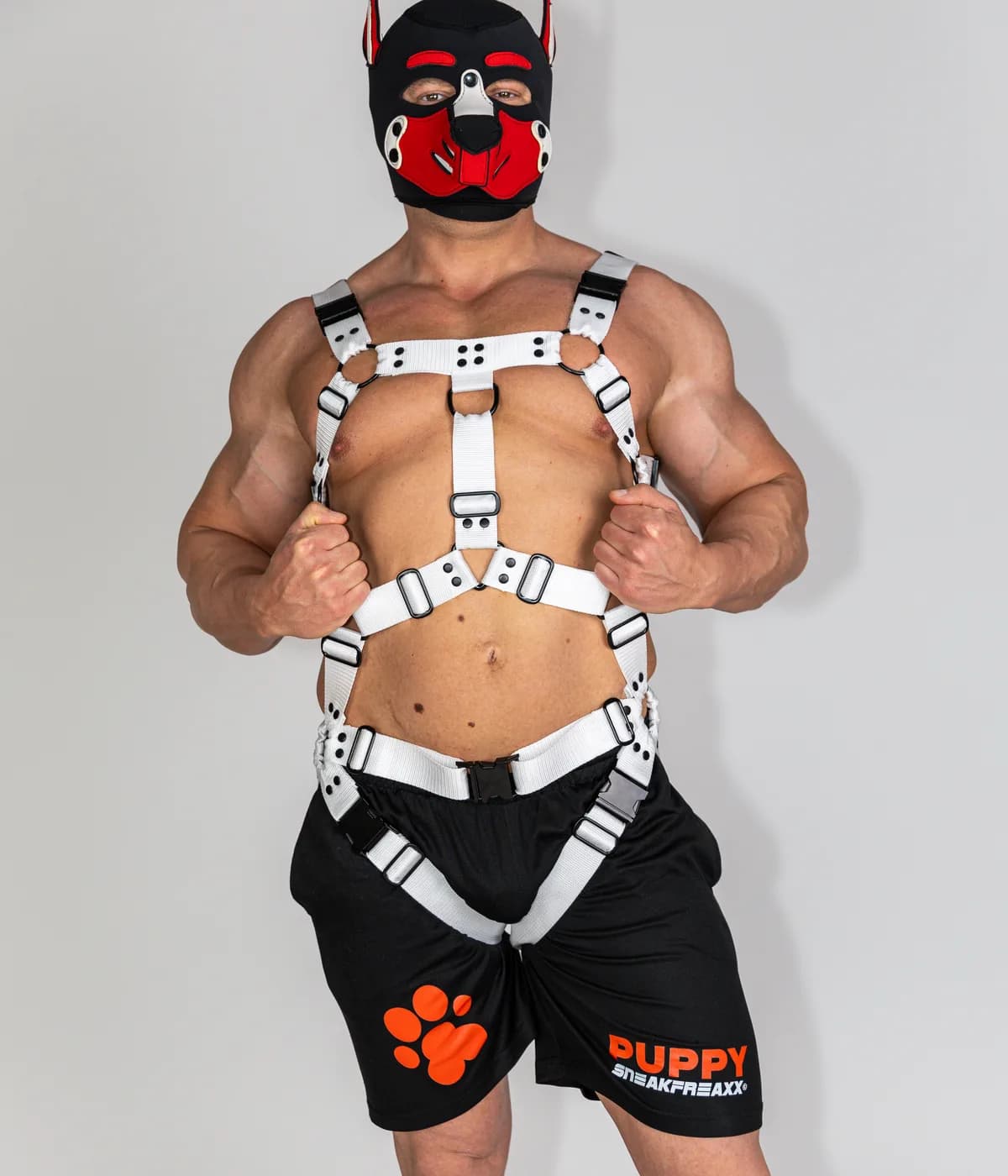 Ares Harness product photo