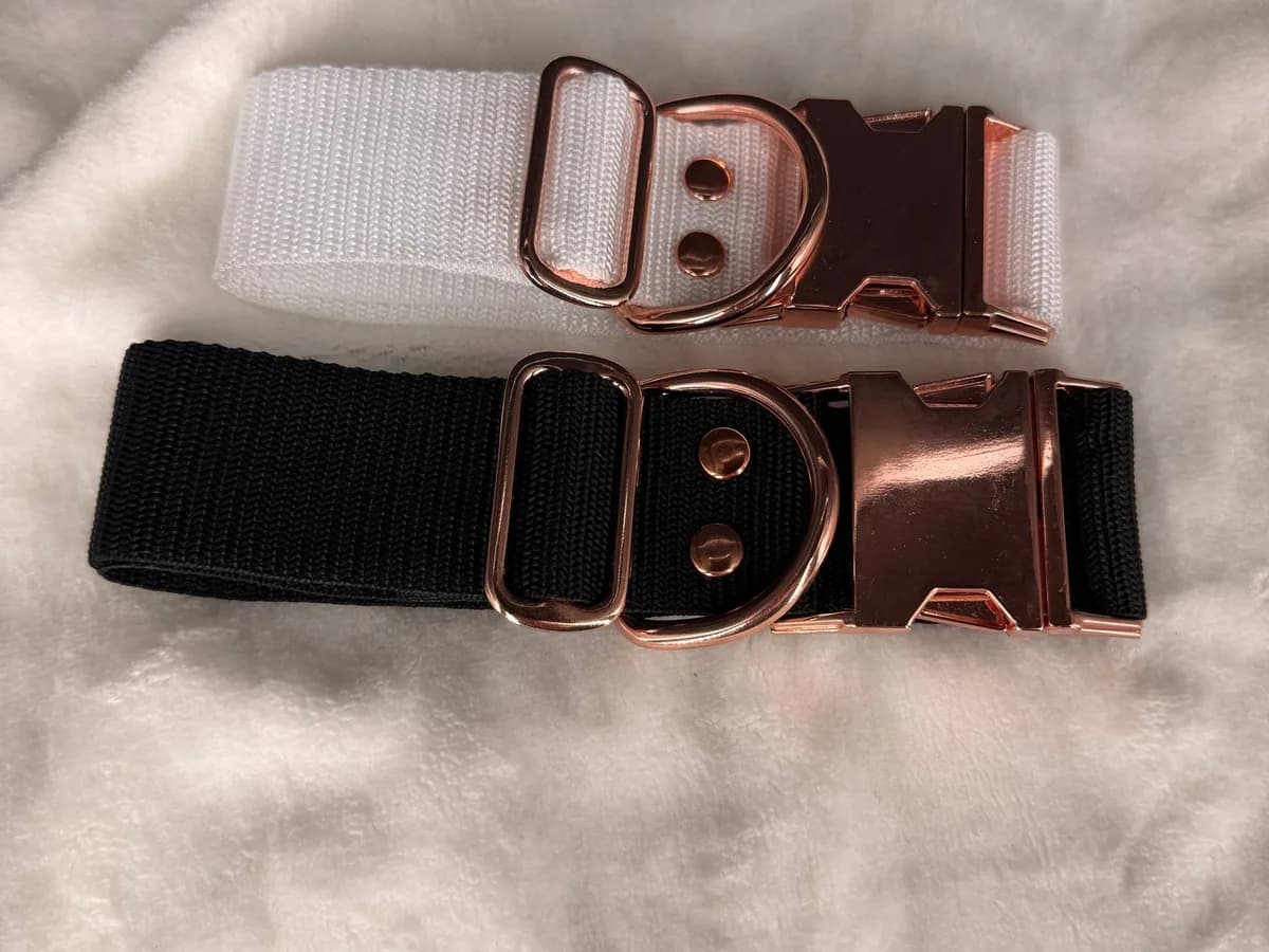 Collar product photo