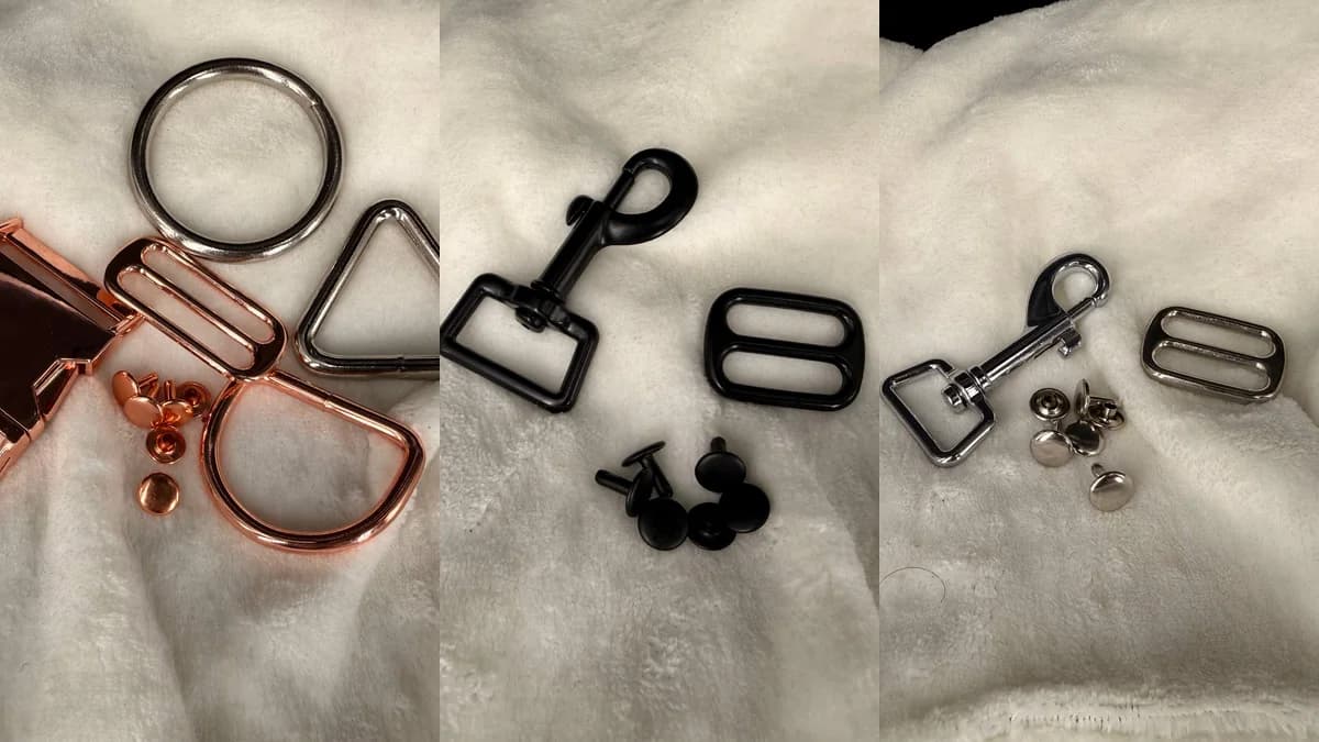 Leash product photo