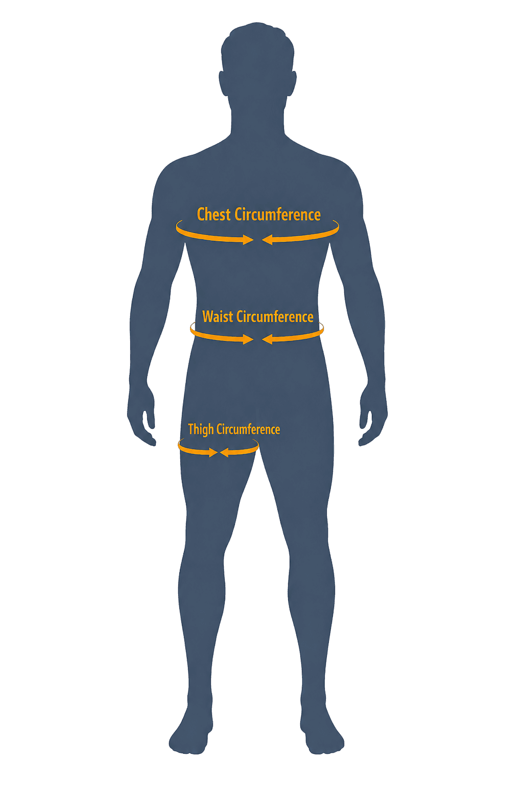 Ares Harness front view - chest, waist and thigh measurements