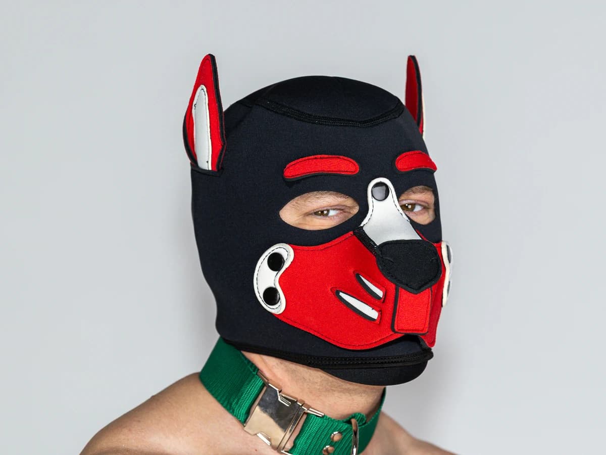 Collar product photo